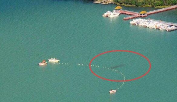 1995年喀纳斯湖水怪并非巨型哲罗鲑