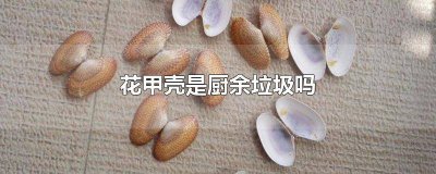 ​花螺壳是厨余垃圾吗 花甲壳子属于什么垃圾