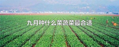 ​九月种什么菜蔬菜最合适南方 九月种什么菜蔬菜最合适四川