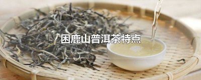 ​困鹿山普洱茶特点口感 困鹿山普洱茶特点介绍