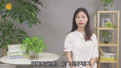 ​蟑螂会飞吗 百度百科 蟑螂会飞吗明确答案