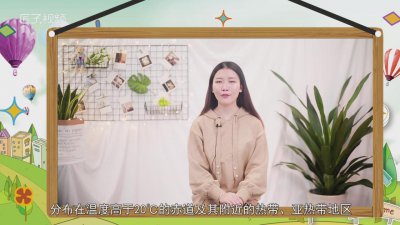 ​珊瑚和珊瑚虫都属于生物吗 珊瑚和珊瑚虫是不是生物?