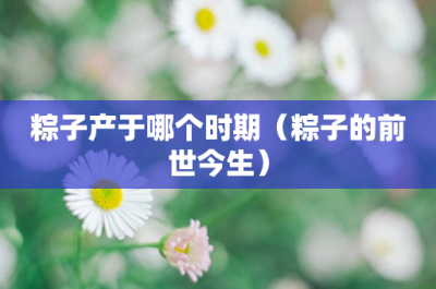 ​粽子产于哪个时期（粽子的前世今生）