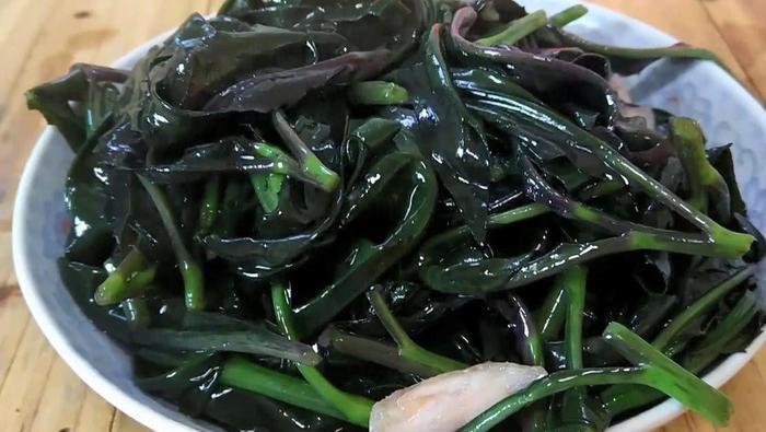 很多人都吃过野菜,那么这种紫色的有吃过吗
