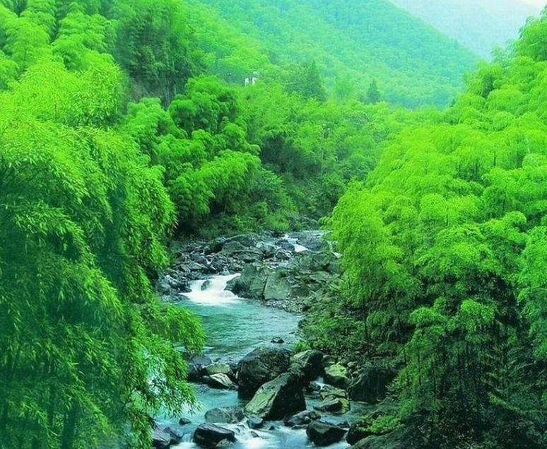 蜀南竹海几月份去最好(蜀南竹海旅游景点介绍)
