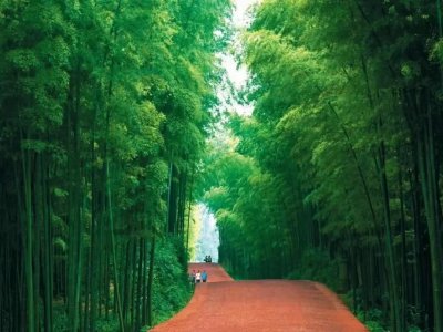 ​蜀南竹海几月份去最好(蜀南竹海旅游景点介绍)