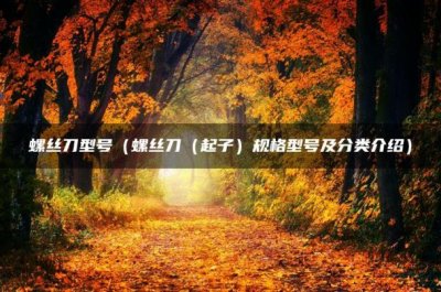 ​螺丝刀型号（螺丝刀（起子）规格型号及分类介绍）