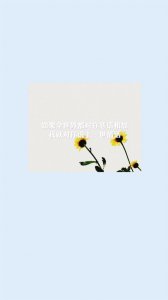 ​个性另类文字壁纸（创意文字歌词签名锁屏壁纸）
