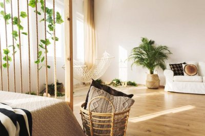 ​鸡冠刺桐的功效与作用