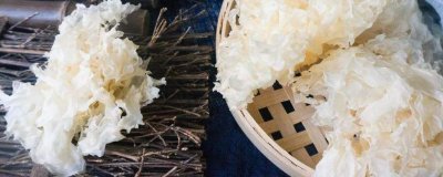 ​鲜银耳放冰箱可以保存多久