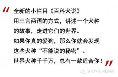 ​百科犬说之罗德西亚背脊犬