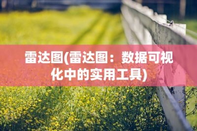 ​雷达图(雷达图：数据可视化中的实用工具)