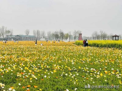 ​社工工资多少钱一月(现在考社工是好选择么？)