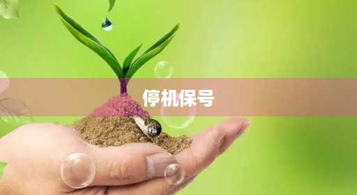 停机保号 停机保号
