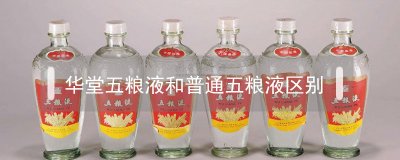 ​华堂五粮液和普通五粮液区别