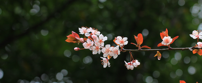 春雨就像什么什么一样轻轻地落到地上_词语填空 春雨就像什么什么一样轻轻地落到地上_词语填空