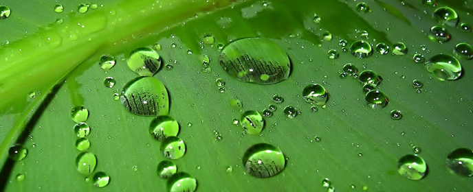 春雨就像什么什么一样轻轻地落到地上_词语填空 春雨就像什么什么一样轻轻地落到地上_词语填空