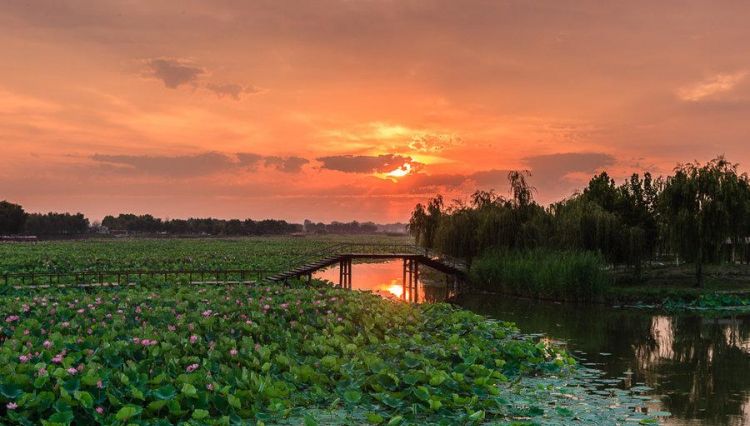 白洋淀在哪里,白洋淀纪事讲述了冀中人民什么的故事