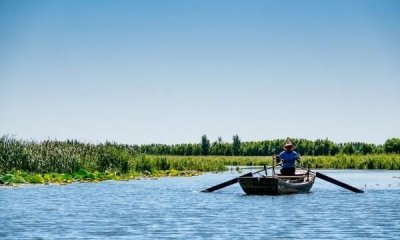 ​白洋淀在哪里,白洋淀纪事讲述了冀中人民什么的故事