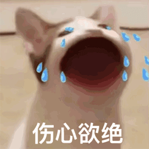 朵拉冒险记表情包(2025表情包分享我叫朵拉)(15)