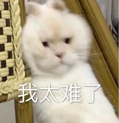 朵拉冒险记表情包(2025表情包分享我叫朵拉)(10)