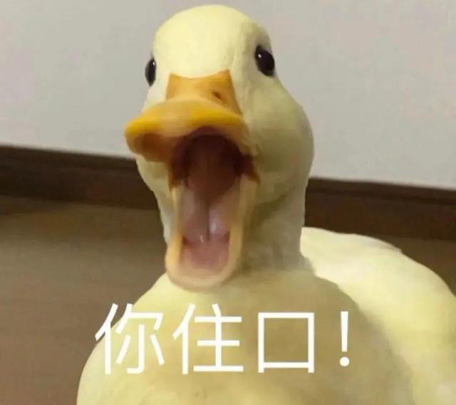 朵拉冒险记表情包(2025表情包分享我叫朵拉)(2)