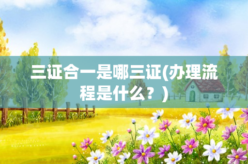 三证合一是哪三证(办理流程是什么？)