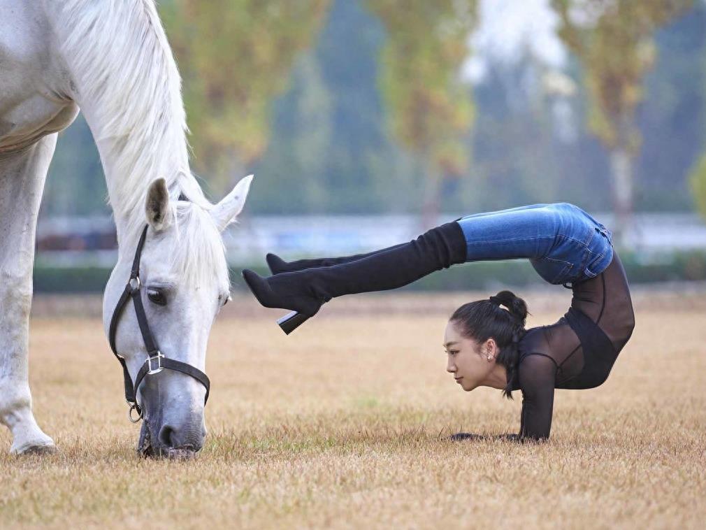 中国柔术女王马背上大秀一字马 高难度柔术动作引网友称赞