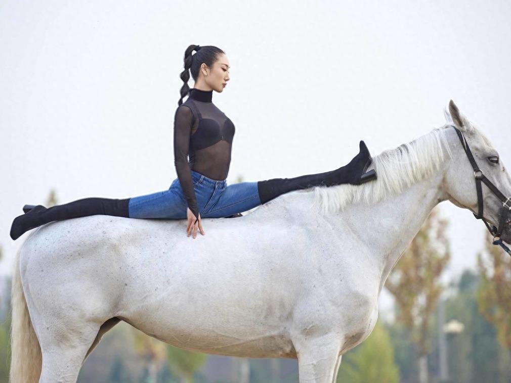 中国柔术女王马背上大秀一字马 高难度柔术动作引网友称赞