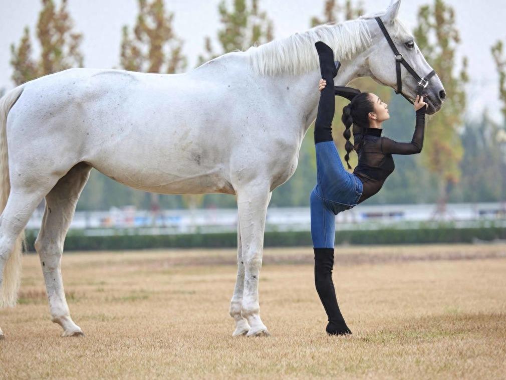 中国柔术女王马背上大秀一字马 高难度柔术动作引网友称赞