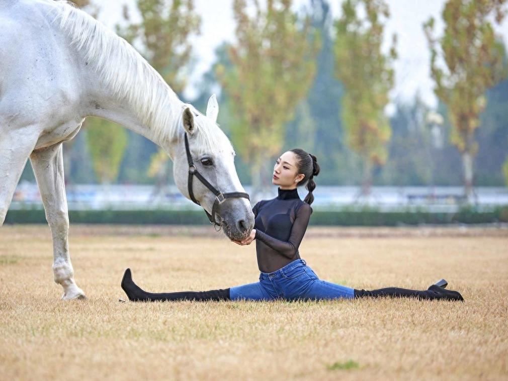 中国柔术女王马背上大秀一字马 高难度柔术动作引网友称赞