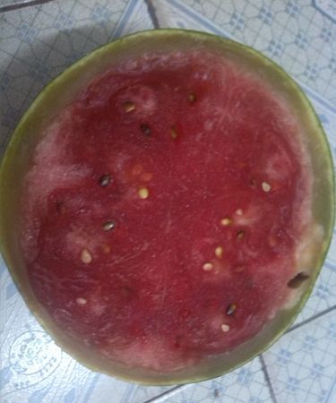 西瓜起沙了 是不是坏了,关于西瓜的一个问题英语