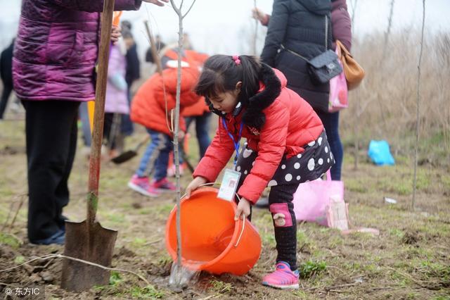 制作植树节标语卡片(30句植树节宣传小标语)(3)