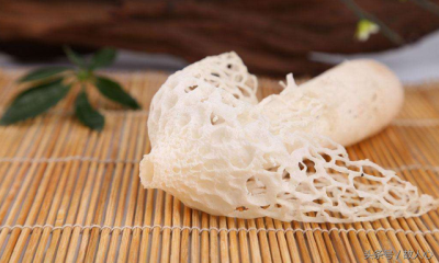 ​竹荪的伞裙能吃吗(竹荪的伞裙为什么不能吃)
