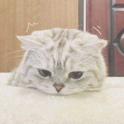 超美+甜美+情侣头像:确认过眼神。我遇上对的人