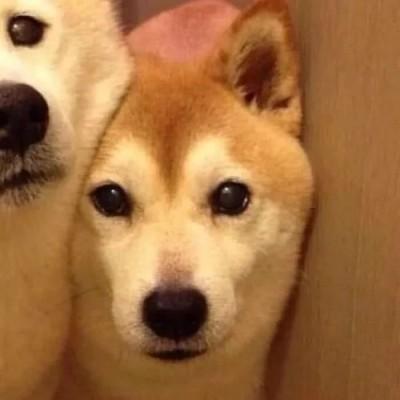 超美+甜美+情侣头像:确认过眼神。我遇上对的人