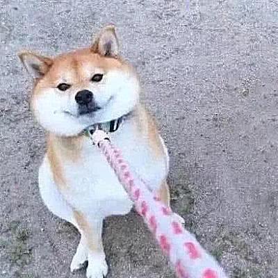 超美+甜美+情侣头像:确认过眼神。我遇上对的人