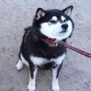 ​超美＋甜美＋情侣头像：确认过眼神。我遇上对的人