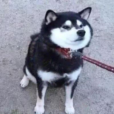 超美+甜美+情侣头像:确认过眼神。我遇上对的人