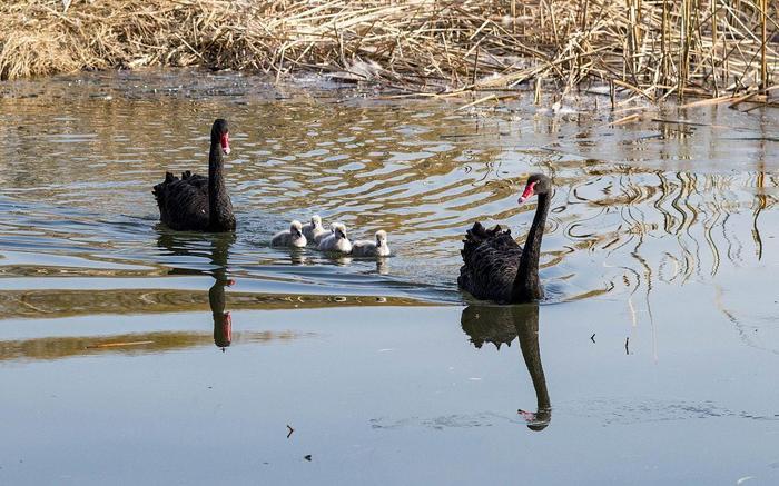 想参观厦门大学?手把手教你如何预约进厦大!