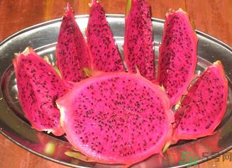 红心火龙果是凉性还是热性水果?红心火龙果是凉性的吗? 红心火龙果是凉性还是热性水果?红心火龙果是凉性的吗?