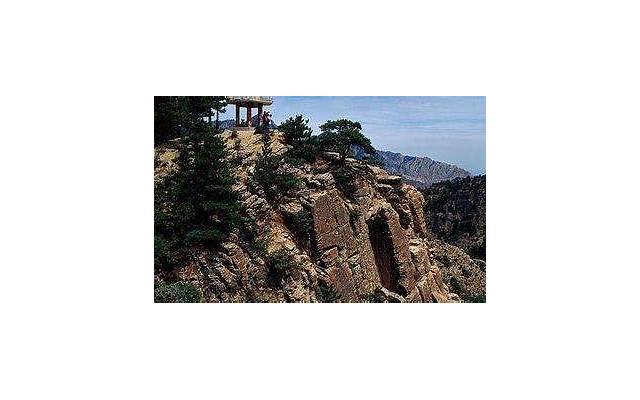 唐艺昕为什么喊吴秀波(唐艺昕吴秀波事件是怎么回事) 唐艺昕为什么喊吴秀波(唐艺昕吴秀波事件是怎么回事)