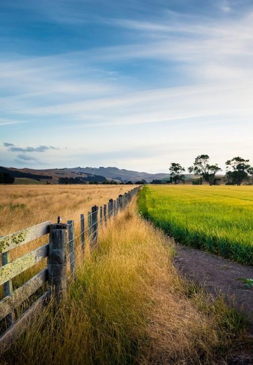 生活中的美景图片 生活中的美景图片小区