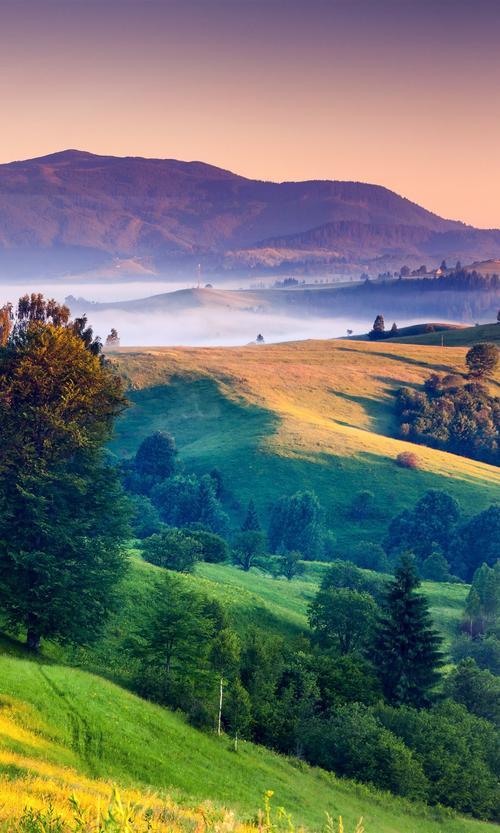 生活中的美景图片 生活中的美景图片小区