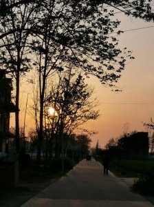 ​生活中的美景图片 生活中的美景图片小区