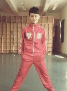 ​舞林争霸倪旺（舞林争霸倪旺简介）