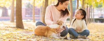 ​拉布拉多是什么狗 拉布拉多是什么狗