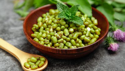 ​竹豆与绿豆的区别