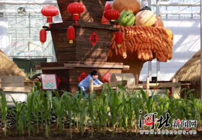 ​南和：“农业嘉年华”里度寒假