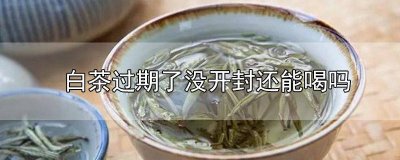 ​白茶茶叶过期了没开封还能喝吗有毒吗 白茶茶叶过期了没开封还能喝吗能放多久